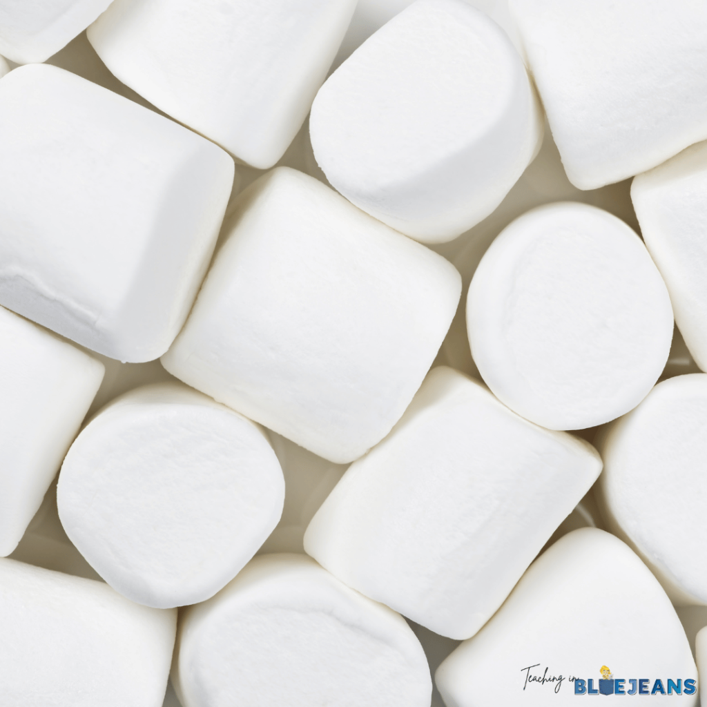 Teaching self control with the marshmallow test begins with buying a big bag of marshmallows!