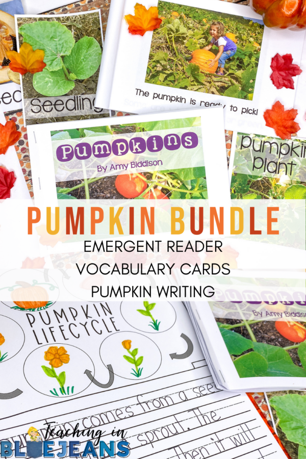 Pumpkin Bundle with emergent pumpkin science reader vocabulary cards and pumpkin writing activities