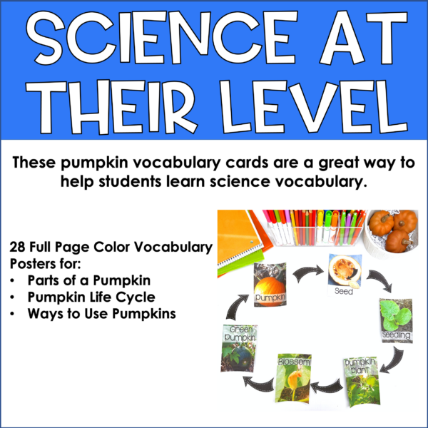 Real Photo Pumpkin Vocabulary Cards for learning parts of a pumpkin, pumpkin life cycle and more.