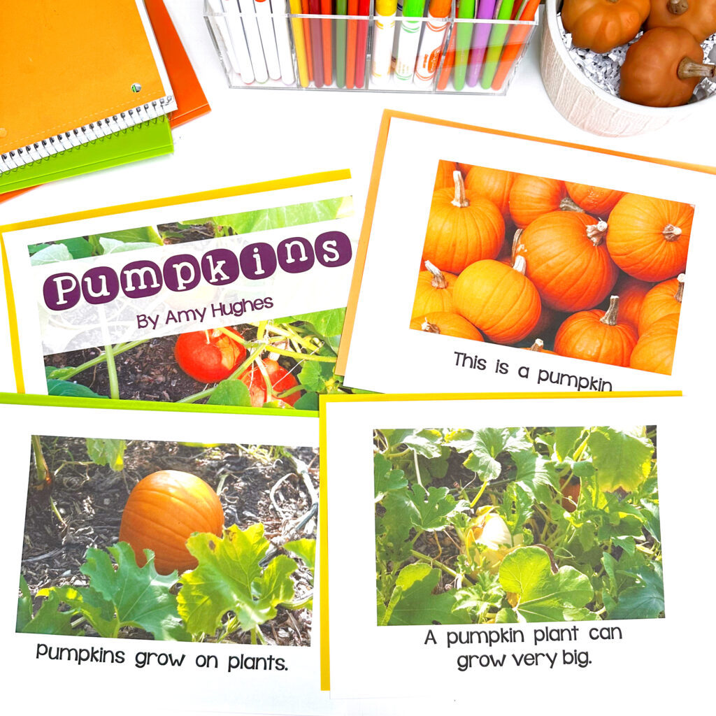 This emergent science reader will teach your students all about pumpkins, parts of a pumpkin, the pumpkin life cycle and more.