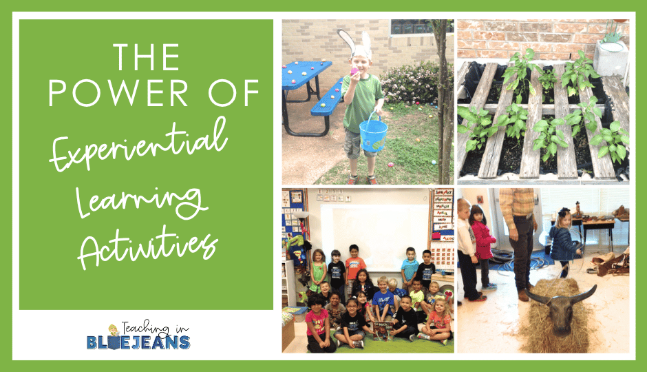 The Power of Experiential Learning Activities