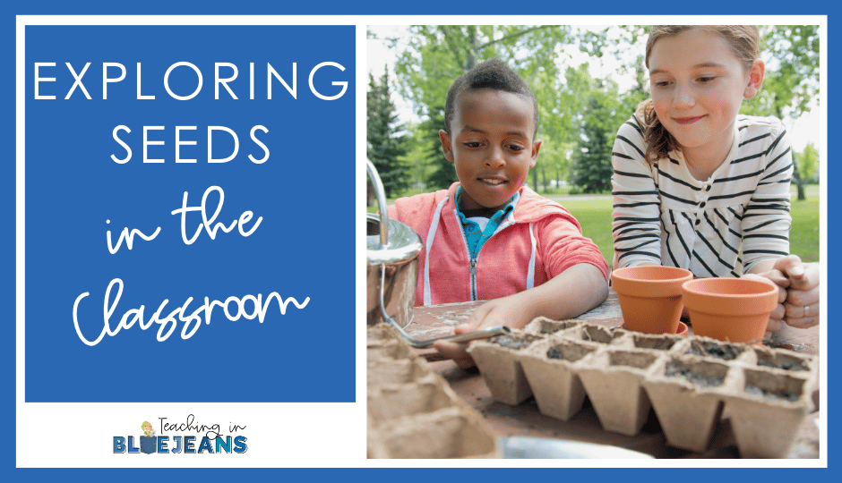 Exploring Seeds in the Classroom