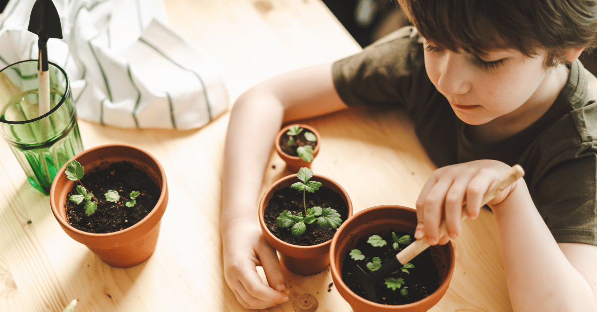 Exploring seeds in the primary classroom is a fun science theme. This blog post is filled with tips, ideas, and activities your students will love.