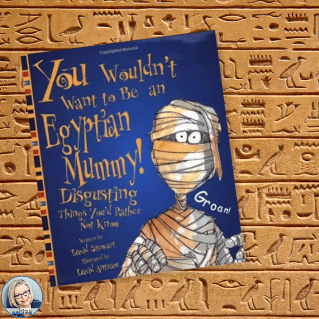 You Wouldn't Want to Be an Egyptian Mummy! by David Stewart is a book that gives kids a dose of history, but with humor.