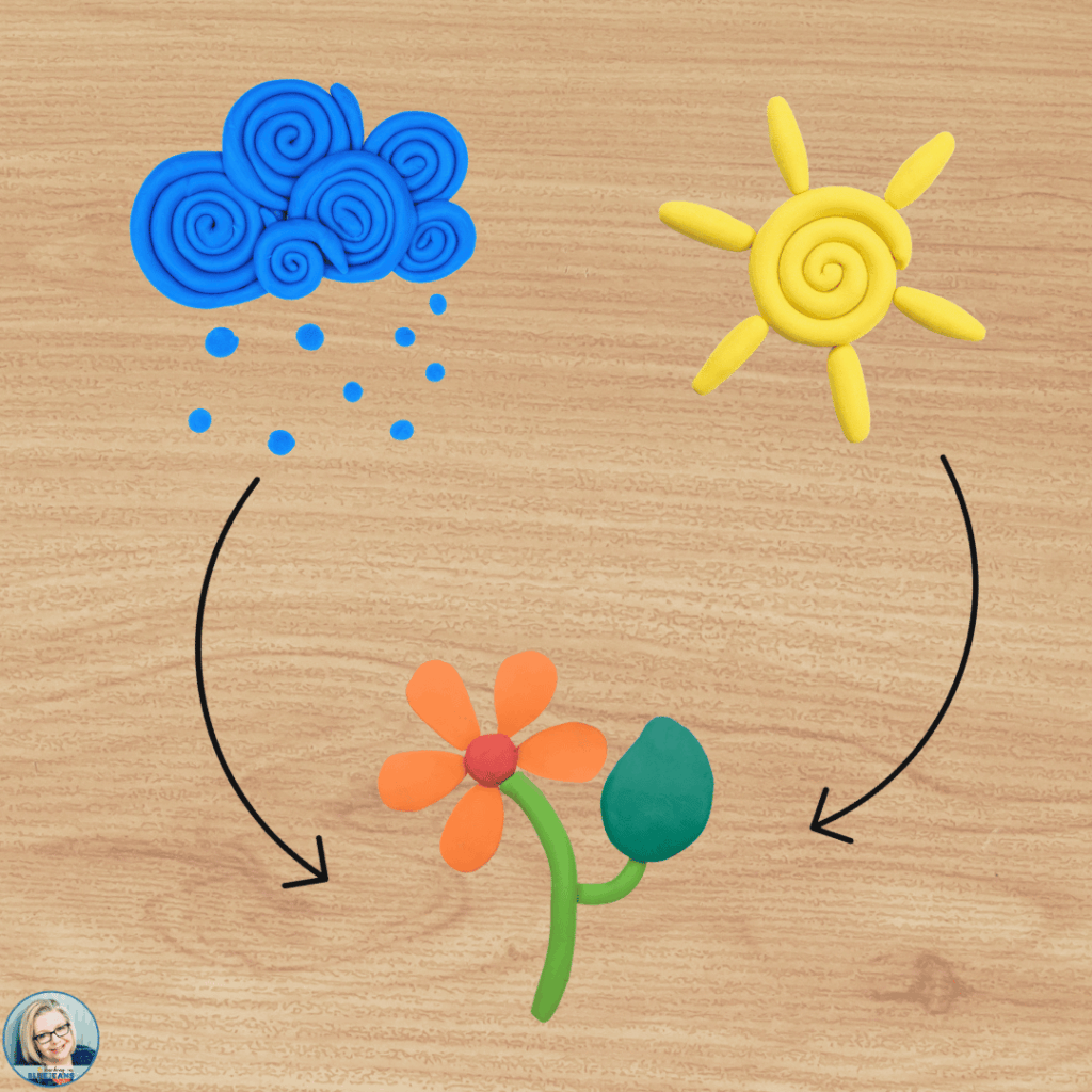Using playdough to show multi-step processes gives students a great visual tool.