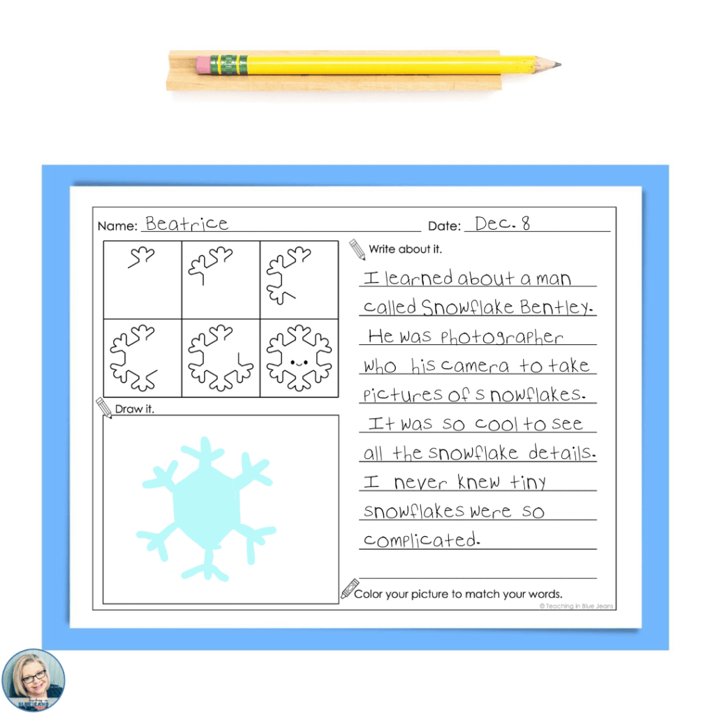 The directed drawing activities are a flexible winter activity to use in the classroom.