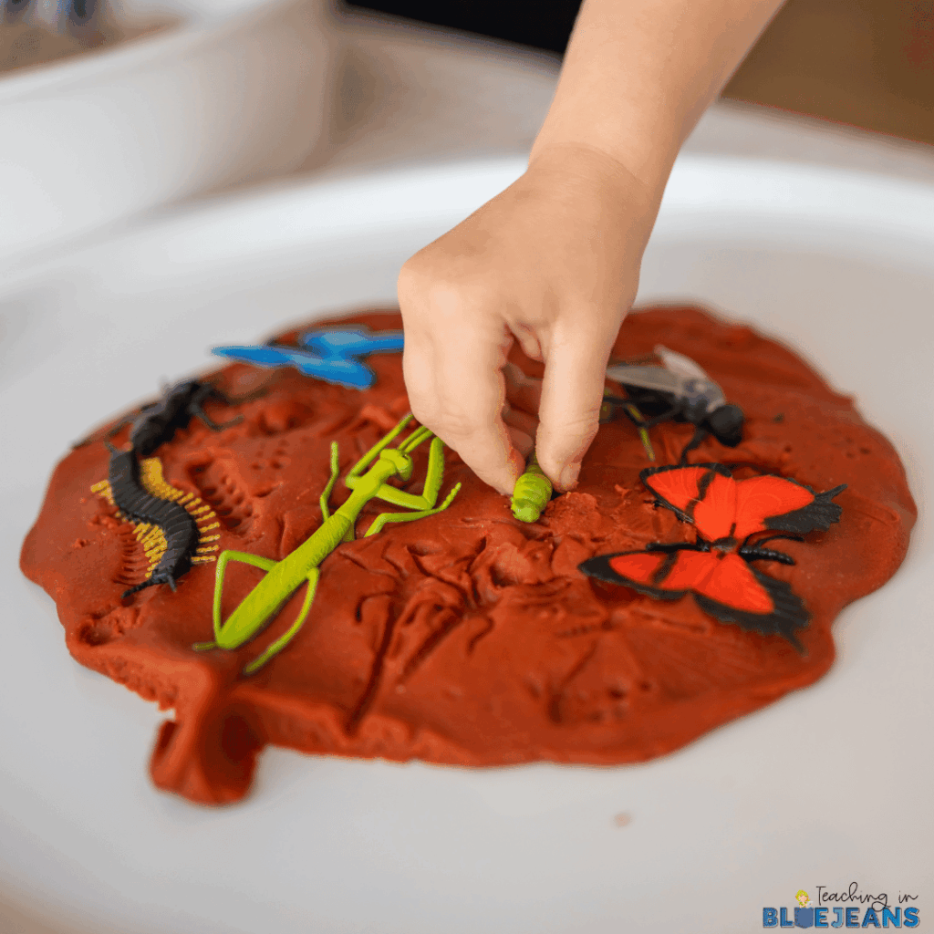 Playdough is a great tool for allowing students to observe the details of nature. Imprint a leaf, stick, or other item.